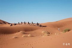 The Fate of a Baby Boy with Three Whorls, Feng Shui Master Says Crowned with Phoenix Whorl