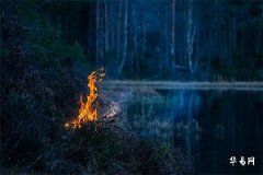 The Marriage of a Male Fire Element and Female Wood Element: A Wonderful Combination of Fire and Wood