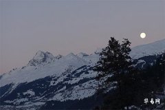 Why is there a saying that divination is not performed during the Zi Hour? What's the significance?