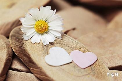 what wood should not be placed at home