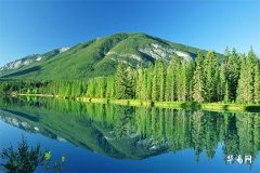 What Does It Mean When a Rooster Crows at 2 or 3 AM? Interpretation of the Hidden Meanings Behind Crow Timing