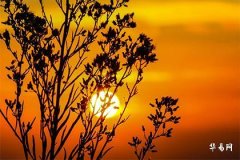 What Does a Mole on the Left Forehead Signify? Revealing the Secrets of Your Life