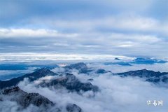 1980 Wood Element and 1981 Wood Element_Which Element Best Matches Pomegranate Wood