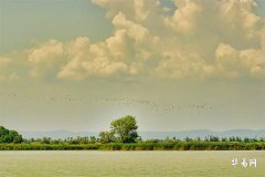 Is this year a leap June? Why are people most afraid of a leap June in the Year of the Snake