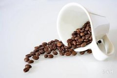 Best Marriage Matches for Those Born in 1983 (Year of the Pig), Most Auspicious Allies for the Sea Water Destiny