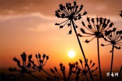 How long for someone born in the leap February of 2004 to celebrate their birthday