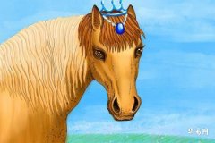 Can People Born in the Year of the Horse and the Tiger Work Together? Potential Analysis in Love and Career