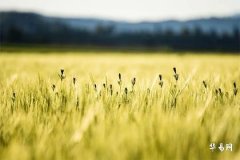 What are the Seven Treasures for Installing a Kitchen Stove