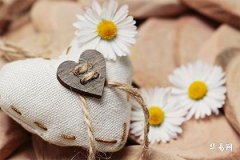 Correct Placement of Pixiu