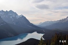 Is the destiny of a female born on Ding You day really bad? Bazi interpretation reveals the truth