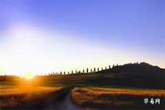 What is the Five Elements Destiny for Those Born in 1983 Under the Pig Sign, and What Best Enhances the Great Sea Water Destiny?