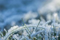 Can You Bring a Coin for the Exam? Feng Shui Taboos in a Student's Room During College Entrance Exam