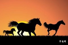 Why are the years 30 and 31 unfavorable for those born in the Year of the Horse? Do they experience a turnaround after age 31?