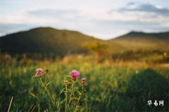 Is It Good Feng Shui to Open a Company Near a Train or Bus Station? Feng Shui Taboos for Company Location Selection