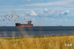 Men's 10 Mole Locations Indicate Wealth and Fortune – An Analysis of Physiognomy, Your Destiny Is Already Sealed!