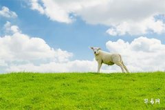 Which years have an intercalary fifth month? According to which calendar is the leap month determined?