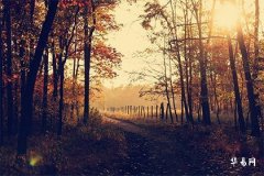 Tarot Card The Lovers Upright: Enlightenment on Choice and Union