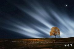 What time is Hai Shi (Pig Hour), and is it good for those born in the Year of the Tiger to be born during this hour?