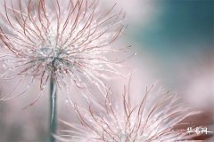 Can Feng Shui marital beds be used by outsiders? How to resolve this in Feng Shui