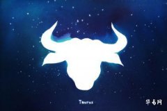 The Type of Girl Taurus Men Prefer—Gentle, Ladylike, Good at Cooking, and Thoughtful Girls