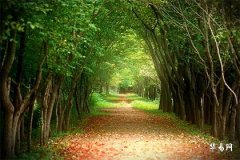 Marriage on Fuyin Day Branch: An Exploration of Marital Destiny and Family Harmony