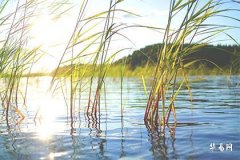 Is the leap tenth month referring to the lunar October or November? In which year does a leap tenth month occur?