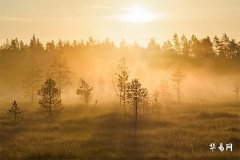 1991 Earth Life and 1995 Fire Life: Analysis of Five Elements Compatibility and Life Influences