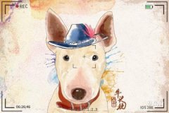 What is the fate of those born in the first lunar month according to Chinese zodiac Monkey, is it good to be born in the first month as a Monkey