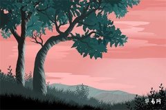 Are Water Element People Born in 1982 Compatible with Fire Element People Born in 1978?