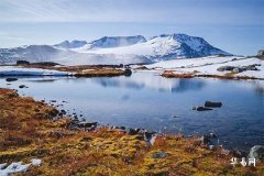 BaZi Seven Killings as Idle Gods_What Happens When the Great Luck Period of Seven Killings is Idle