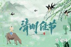 Can Someone Else Be Asked to Pay Respects on Your Behalf During Qingming Festival If You Are Away?