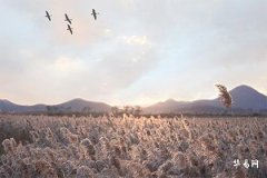 Rabbit Zodiac Student Desk Orientation_What Decorations to Place on a Rabbit Zodiac Desk for Good Luck