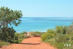 Is License Plate Number Ending with 2 Good? Lucky Combination Analysis Guide