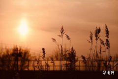 10 Taboos of Stove Feng Shui_What to Paint Facing the Stove