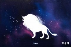 Do Leo Men Prefer Looks or Body Type—Unveiling Their True Preferences