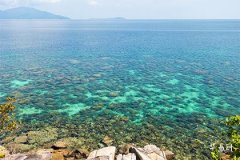 What Items on the Office Desk Block Wealth and Help Your Career Thrive!