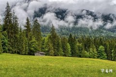 Test How Good Your Popularity Is