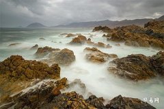 When Will People Born in the Year of the Rooster Hit Their Lucky Streak? Wealth Brings Good Fortune