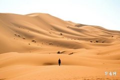 Is the Year of Your Birth Sign Really Unlucky? Taboos for Those Born in the Year of the Snake