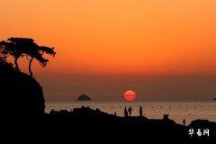 Living Room Feng Shui Taboos: Artificial Flowers_Artificial Flowers in the Bedroom, What Are the Taboos?