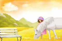 Can a person born in the Year of the Horse have someone born in the Year of the Tiger as their wedding usher? Is this zodiac match favorable?