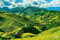 Personality Traits of Women Born on Ding You Day and Their Spouse Characteristics