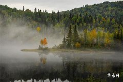 The Auspiciousness and Inauspiciousness of Crow Caws in the 24 Hours, What Does a Crow's Call Signify