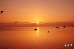 What Is the Fate of a Man with No Whorls on His Fingers? Palmistry Reveals the Truth