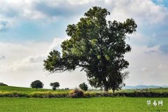 Why Do People Burn Paper Money at Crossroads During the Ghost Festival