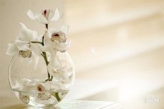 How to Determine the Orientation of the Stove Position, Inquiry on Stove Placement Directions