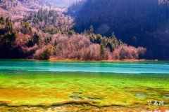 What Type of Pixiu Should Women Wear? Tips for Choosing