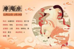 The temperament of a Capricorn woman is like a cat,低调而又知性的保守派