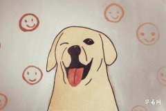 Is it good to be born in the first lunar month as a Dog? What is the destiny like?