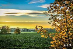 How to Place the Ding Character for Chaozhou Wedding Bed Setup _ Complete Collection of Auspicious Phrases for Wedding Bed Placement